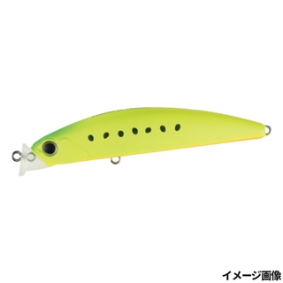 マットチャートイワシ