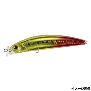 バーニングゴールドイワシ