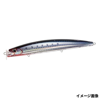 チゴモリイワシ