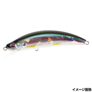 和加佐幾(わかさぎ)