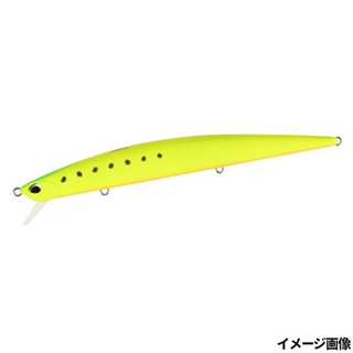 マットチャートイワシ