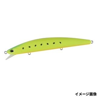 マットチャートイワシ