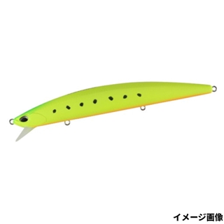 マットチャートイワシ