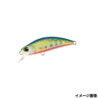 ブルピンゴールドヤマメ