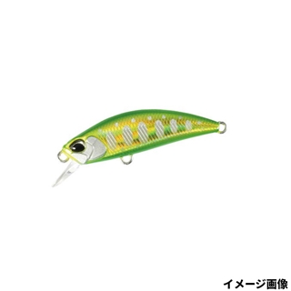 ダブルグリーンゴールドヤマメ