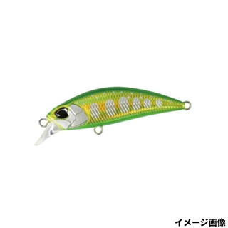 ダブルグリーンゴールドヤマメ