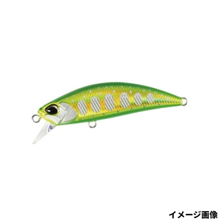 ダブルグリーンゴールドヤマメ