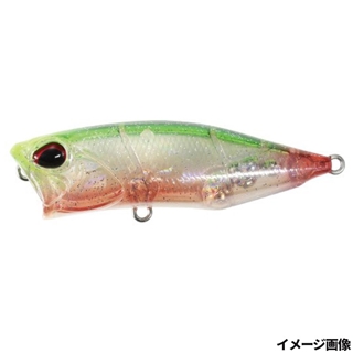 チヌスケベイト