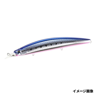 ギラマズメイワシ