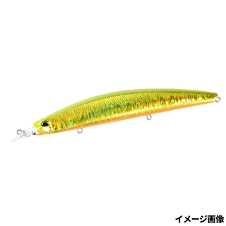 ヒラメゴールド