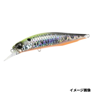 サイトチャートコノシロ