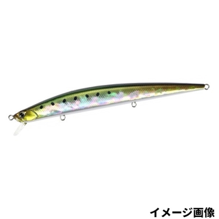 テイスティイワシ