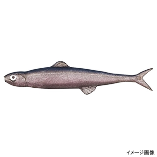 #26 プロブルー(O)