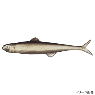 #57 トリックシャッド(O)