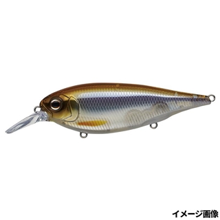 #196 ハーフミラーワカサギ