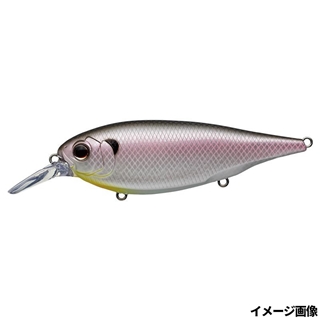 #362 コールドシャッド