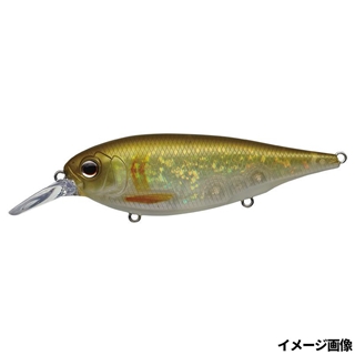 #399 ネオンアユ(インサートプレート)