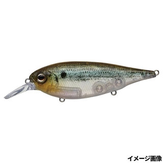 #423 ゴーストスレッドフィンシャッド