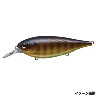 #424 ブルーギルチャートベリー