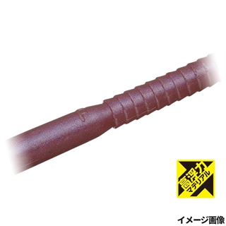 #H135 フジイロミミズ