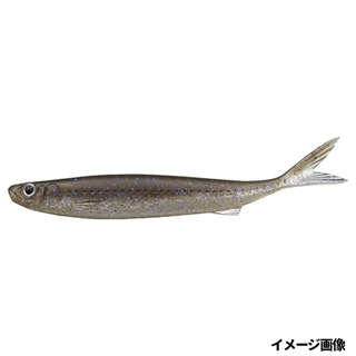 152 ネオンモロコ