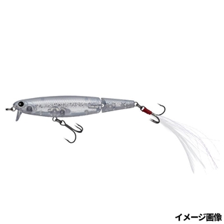 #445 ステルスシラウオ