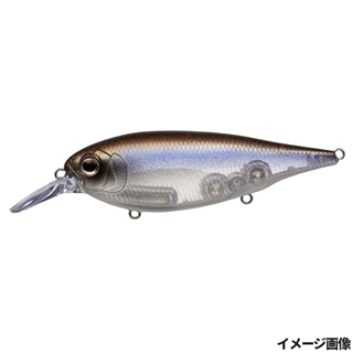 #446 KO-ワカサギ