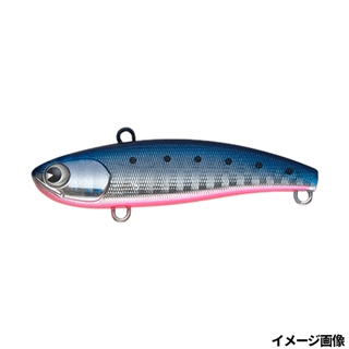 #KU60-109 マコイワシ