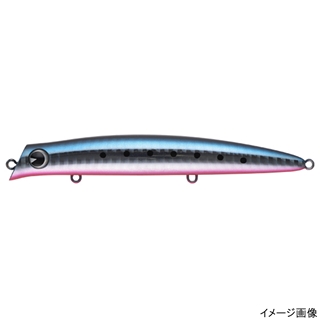 #CT110-107 マコイワシ