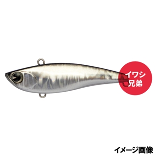 X5149 オトウトセグロ