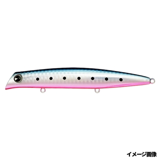 #KM125-407マコイワシ