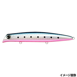 #CT125-207 マコイワシ