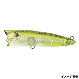 346 バージンオリーブ