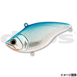 #13ブルーシャッド