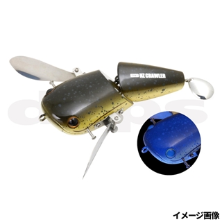 #17ナマズベビー