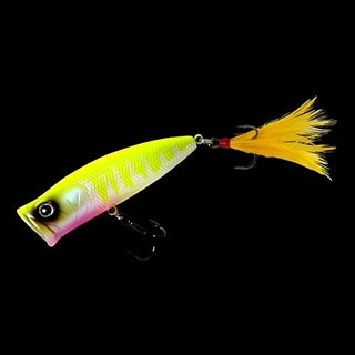 #04チャートオイカワ