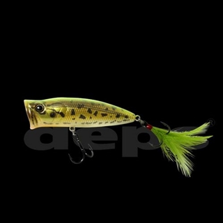 #11ポンドフロッグ