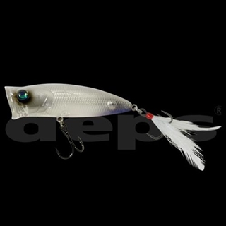 #12グラスキャット