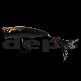 #15セアカヤドク