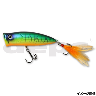 #05ホットタイガー