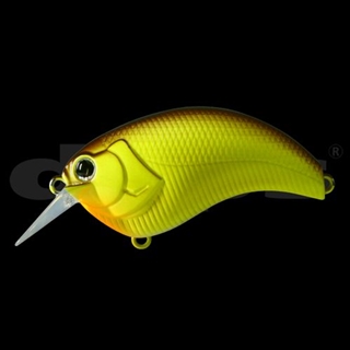 #07ブラウンバックチャート