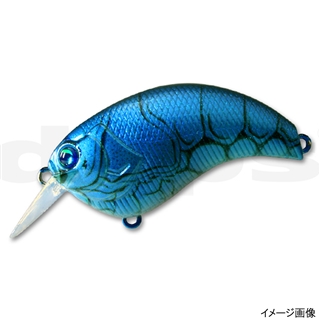 #13フロリダブルー