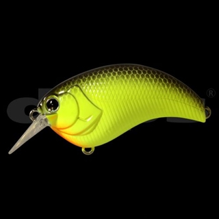 #20ブラックバックチャート