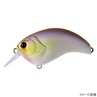 #22マッディーワカサギ