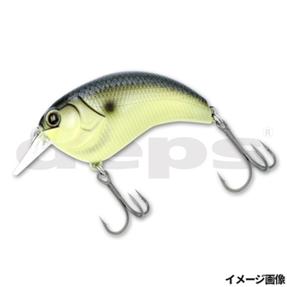 #24ブラックバックマスタード