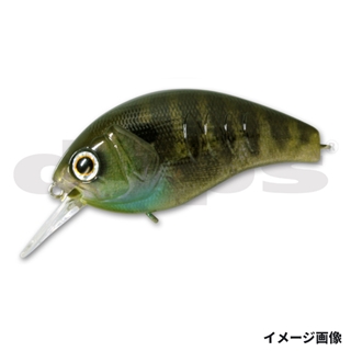 15 リアルブルーギル