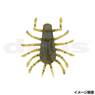 #12 グリーンパンプキン