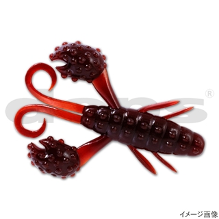 #28スカッパノン