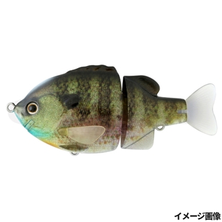 #01 リアルブルーギル