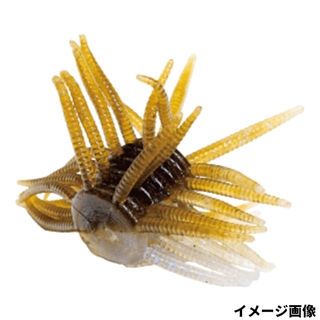 22 アピールワカサギ